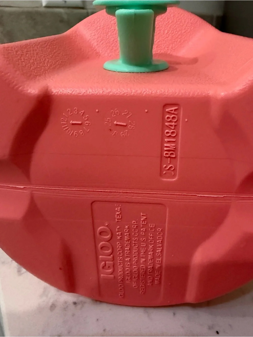 Igloo Coral Pink and Mint Insulated Water Bottle